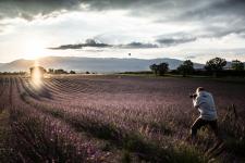Voller Einsatz: Fotograf zur Lavendelblüte in der Provence